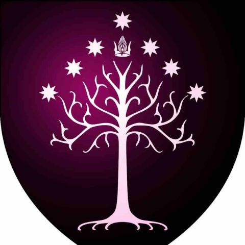 提供capcut模板連結服務的專家維林諾