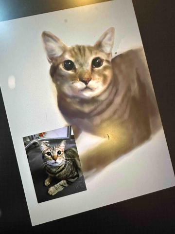 欣妤 - 電繪委託