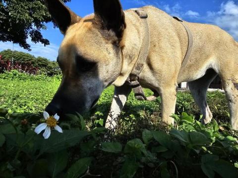 陳旻琪 - 喜歡拍狗狗！
