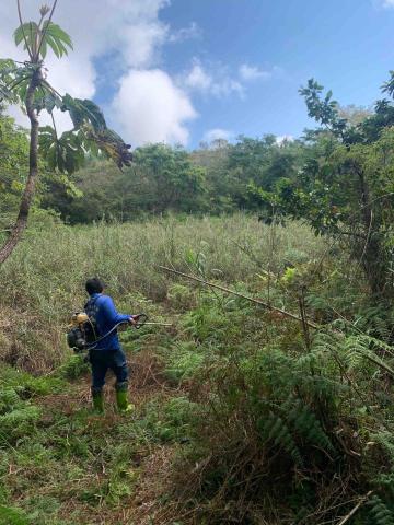 打瑪布亞&草木園藝管理 - 