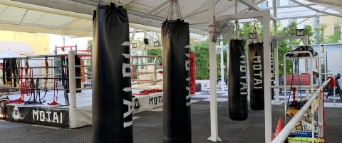 林先生 - 電影佛山 練拳館設定 