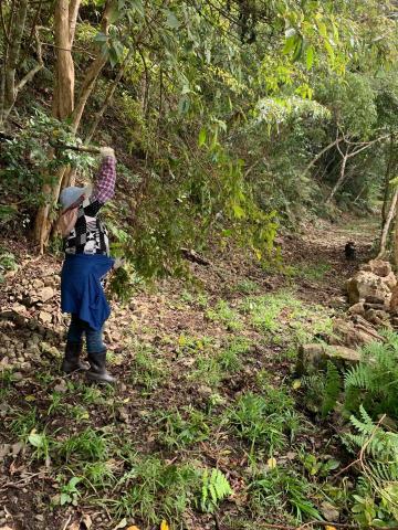 打瑪布亞&草木園藝管理 - 