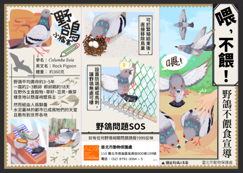 RY.D - 動保處宣導文宣繪製及排版製作