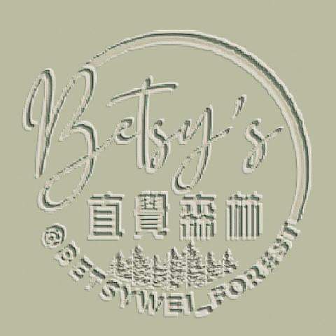 提供xp10t食譜服務的專家Betsy的直覺森林