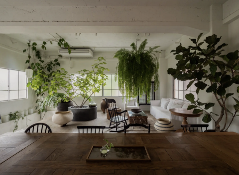 林先生 - 主角家客廳景設定