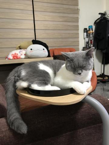 蠻蠻散散步 - 睡