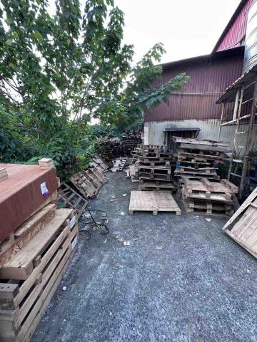 廢物回收專家 - 棧板回收