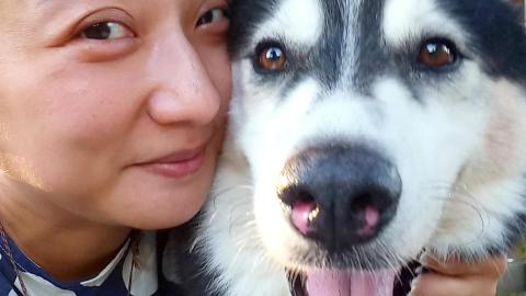 葉韋伶Joffy - 到府陪伴寵物、遛狗 葉韋伶Joffy - 到府陪伴寵物、遛狗