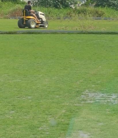 柏君園藝 -  柏君園藝 -