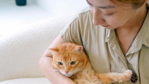 葉韋伶Joffy - 到府照顧毛孩,餵食、清貓砂、陪伴 葉韋伶Joffy - 到府照顧毛孩,餵食、清貓砂、陪伴