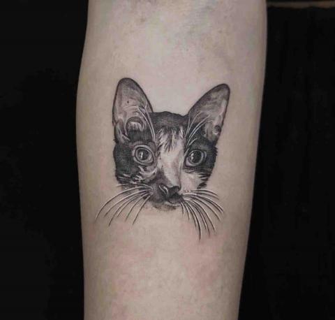 人體彩繪工作室 - 寵物紋身