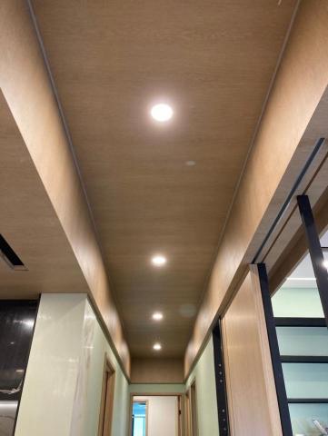 zix-saing Lan - 木紋軟膜