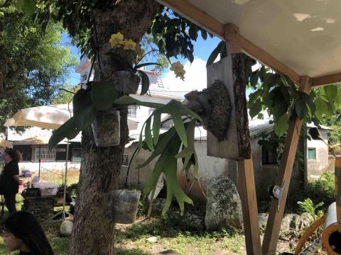 老邱の園藝管理 - 