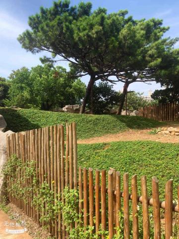 老邱の園藝管理 - 