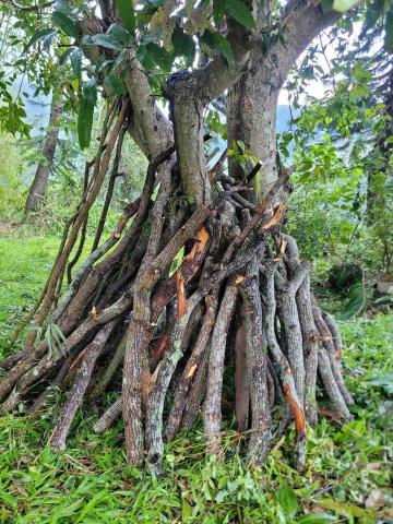 老邱の園藝管理 - 