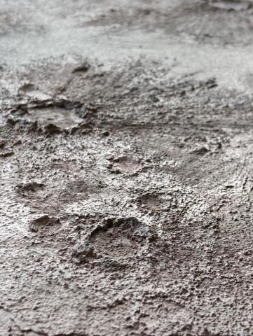 塗藝圖 - 土質礦物漆 月球表面