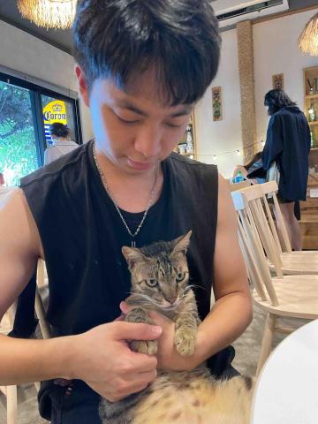 提供名片印刷板橋服務的專家提米