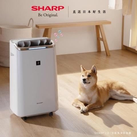 Luke 商業攝影棚 - 商品型錄/商品情境照