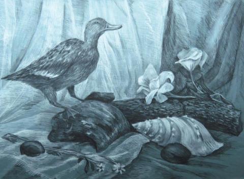 Sophia - 炭精筆素描