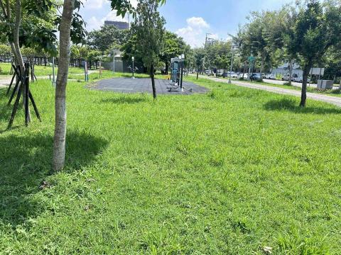 瑋羽園藝工坊 - 割草前