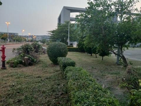 王東明 - 安南區統旺公司園藝維護 王東明 - 安南區統旺公司園藝維護