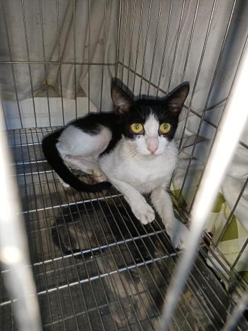 正和的加減乘除 - 