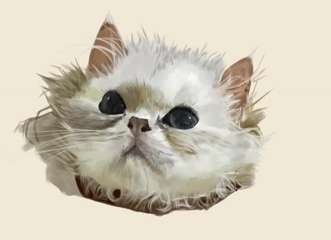 黃姁 - 用電腦油畫畫的貓咪作品