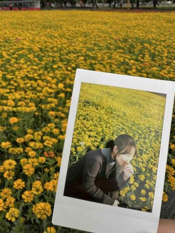 提供美術編輯服務的專家滕玲