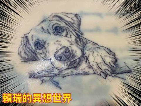 呂明訓 - 動物素描風 呂明訓 - 動物素描風
