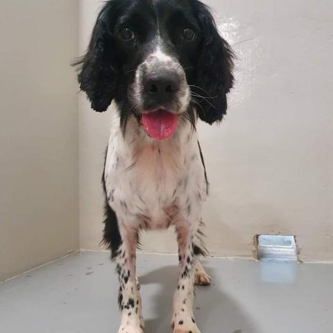 寵物Fun 電@遛狗達人 - Melissa 的日常生活