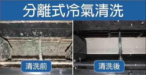 潔室悦X蟎蟲捕手—居家清潔服務 - 