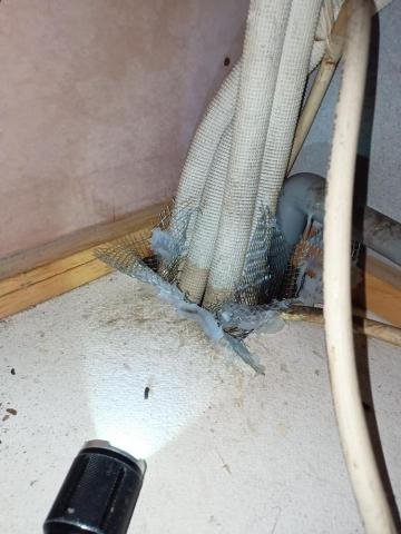 大佶環衛 - 土城民宅鼠防治