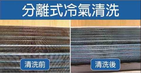 潔室悦X蟎蟲捕手—居家清潔服務 - 