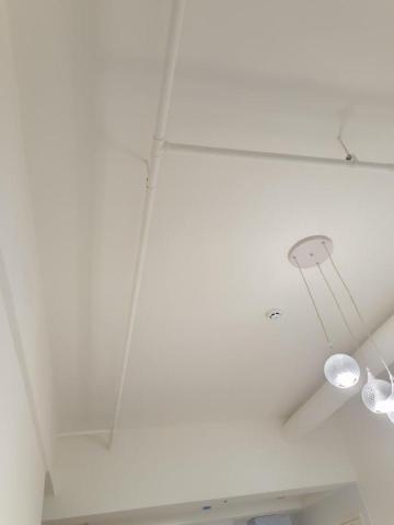 王政遠 -  王政遠 -