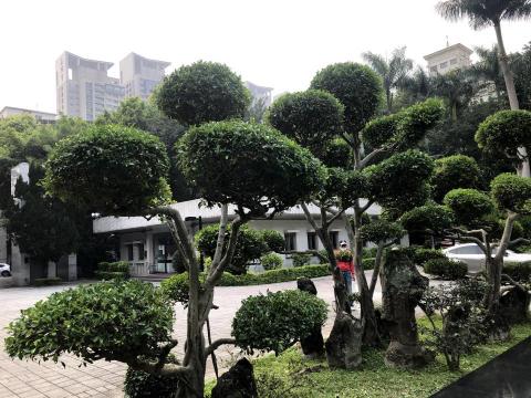 力友園藝造景 - 施工留影.公家機闢