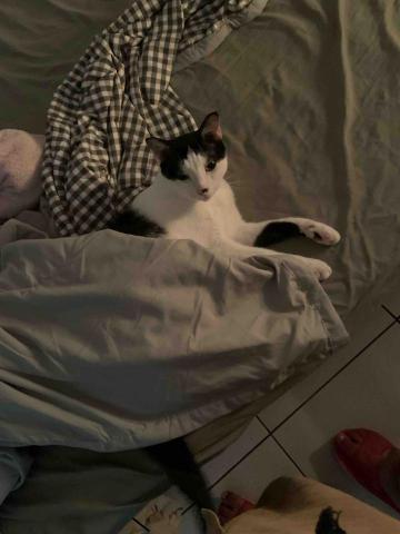 官尚嫻 - 寵物保姆：阿餒