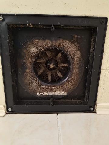 綠配離企業社 - 11年上排風嚴重污染