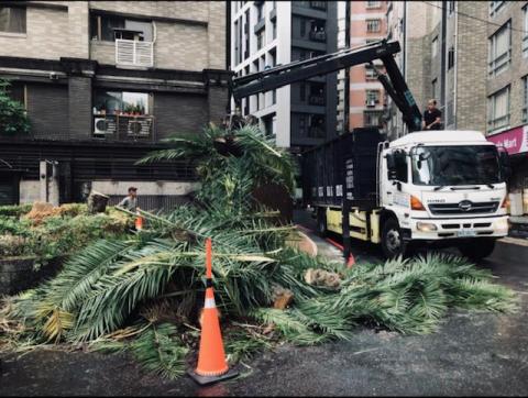力友園藝造景 - 修剪下的.樹枝清運