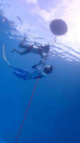 夏蕊童夢工坊 - 五歲孩子體驗自由潛水