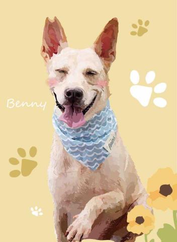 Benny貝妮插畫 - 似顏繪大型犬