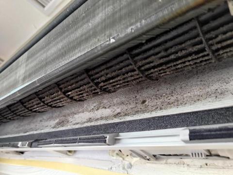 劉明賢 - 清洗前