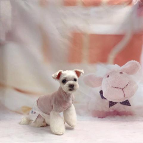 王雅玲 - 小嘴甜甜圈