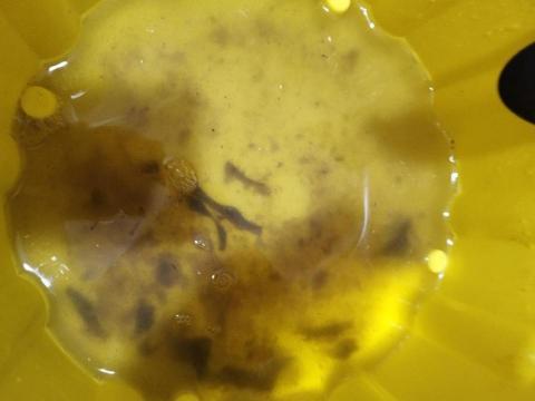 周昆興 - 空調排水堵塞疏通