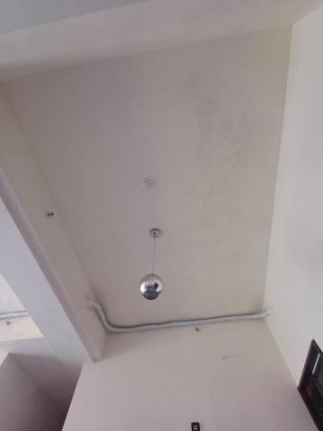 余先生 -  余先生 -