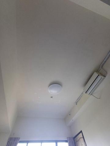 余先生 -  余先生 -