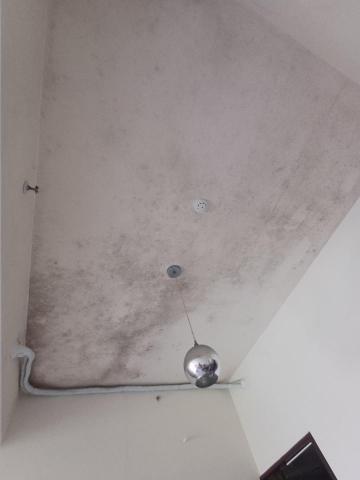 余先生 -  余先生 -