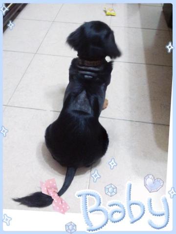 王雅玲 - 吊帶褲