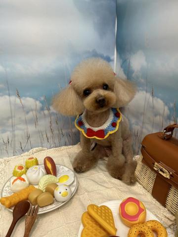 王雅玲 - 8字臉耳齊下巴