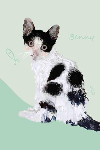 Benny貝妮插畫 - 似顏繪牛奶貓