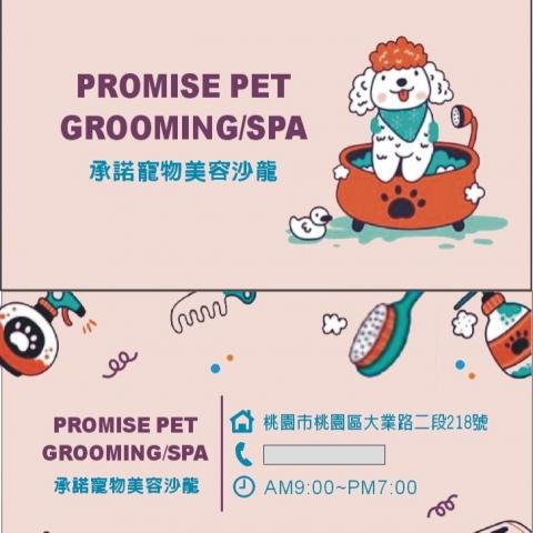 提供沙龍染髮劑服務的專家承諾寵物美容沙龍